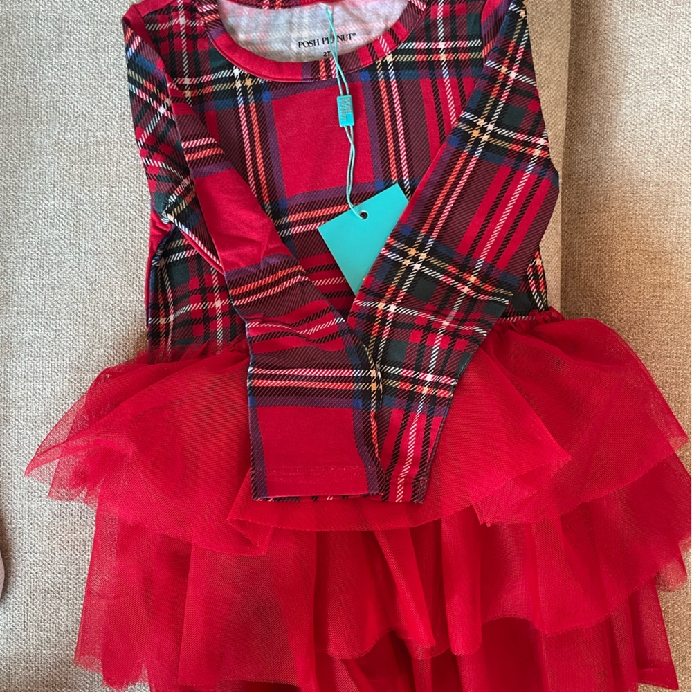 Posh Peanut 2T Tartan Dress